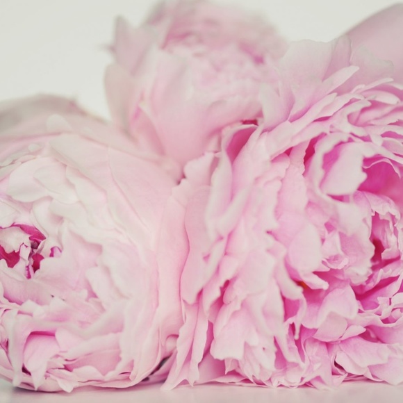 Meet your Posher - Picture 3 of 4